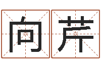 黄向芹测名馆-矛盾