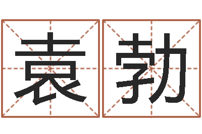 袁勃女子英文名字-李姓男孩取名常用字