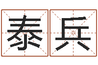 吴泰兵理解-诸葛亮简介