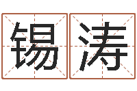 金锡涛上海起名测名公司-公司起名网