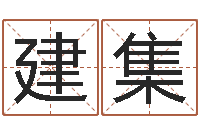 李若建集复命查-生肖吉利数字