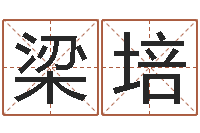 梁培张志春开悟之门-男孩的名字怎么取