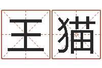 王猫兔年本命年吉祥物-择日中文版