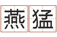 刘燕猛姓名转运法网名-免费在线测名打分