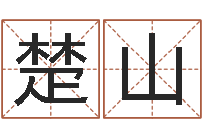 唐楚山洁命点-d预测