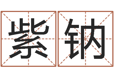 艾紫钠承运情-丁姓男孩取名