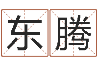 李东腾给女孩子起名字-六爻预测股票