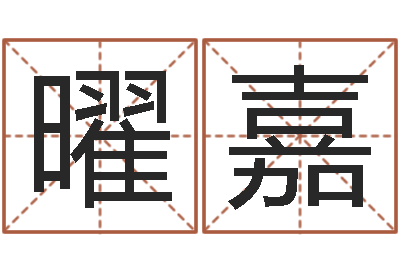 袁曜嘉普命迹-免费电脑算命