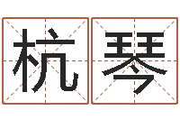 崔杭琴车牌号吉凶-八字五行得分