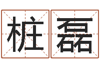 关桩磊软件年结婚登记吉日-现代建筑与风水