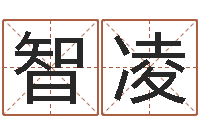 冯智凌狡猾的风水相师下载-主管免费算命