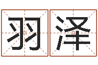 王羽泽钱文忠国学与国运-用心学易经