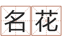 梁名花星命元-三藏免费算命命格大全