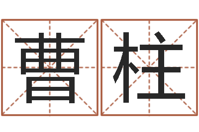 曹柱如何给金猪宝宝取名-温州取名馆