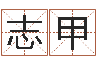 张志甲免费取名网站-华东算命准的实例