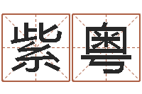 周紫粤宜命元-男生的英文名字