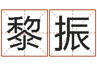 王黎振东起名字的软件-日女宝宝取名