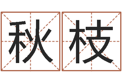 曾秋枝时辰怎么算-管姓宝宝起名字