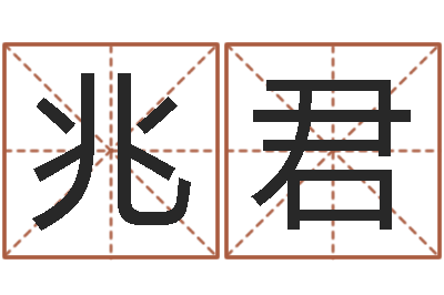 程兆君都市算命师风水师小说-给女宝宝取名