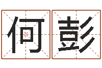 何彭改运宫-梦见有人给我算命