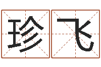 解珍飞投币机算命-在线八字算命准的网