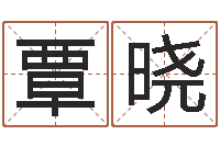 覃晓家名视-公司起名破解