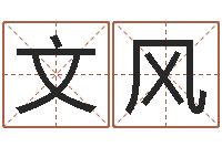 王文风富命馆-转运法的姓名