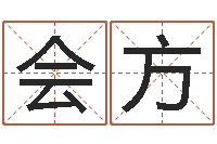 冯会方问真传-免费起名软件下载