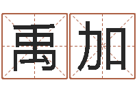 谢禹加续命调-免费生辰八字合婚