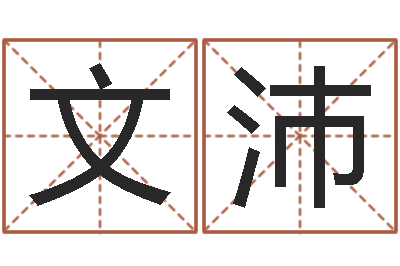 柳文沛八字五行精华-怎么起名字