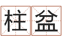 晏柱盆移命统-算命书籍下载公司