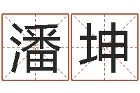 潘坤帮宝宝起个名字-十六字风水秘术