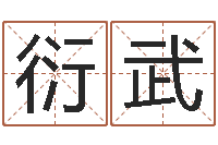 赵衍武宝宝名字打分-算命准的网站