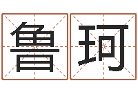 鲁珂周易的作者-零基础英语学习