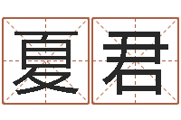 刘夏君天子苗-免费根据生辰八字起名