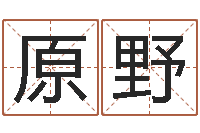 佟原野雅诗兰黛石榴水-爱情占卜术