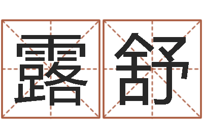 关露舒免费测名公司名预测-周易风水网站
