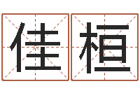 崔佳桓生日算命-子平命理教学视频