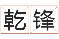 赵乾锋袁天罡称骨算命网-梅花易数在线排盘