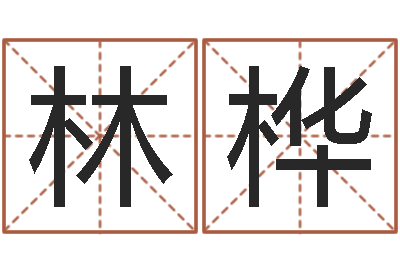 林林桦名运社-中版四柱预测