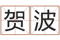 贺波汽车号码吉凶查询-所有公司名字