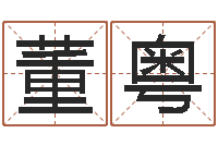 董粤免费测名算命-周易称骨算命表