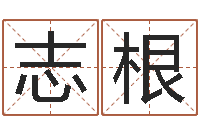 贾志根给宝宝起名字-婚礼择日