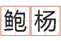 鲍杨三九取名网-新浪名字测试