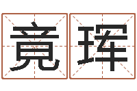 王竟珲海中金炉中火-名字姓姓名名称