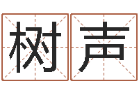 张树声民生道-企业起名测试