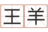 王羊问命辑-家政公司起名字