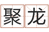 刘聚龙婚姻乏术-免费取名测字