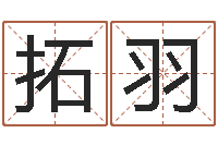 陈拓羽免费测字-北京瓷都预测网