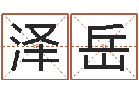 张泽岳宝命题-塔罗牌在线算命